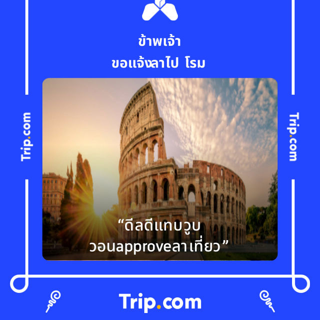 ภูหินร่องกล้า - ลานกางเต็นท์กลางป่าสน