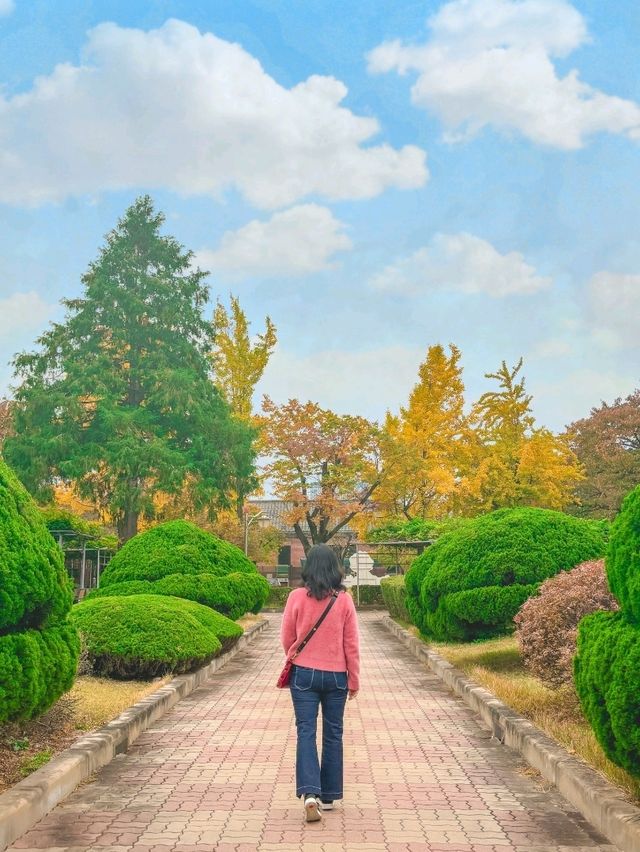 가을의 정취를 만끽할 수 있는 정독도서관📚🧡
