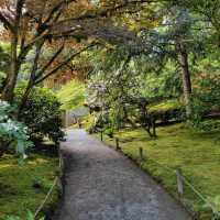 🌴大濠公園日本庭園⛳️如詩如畫🍁🌿