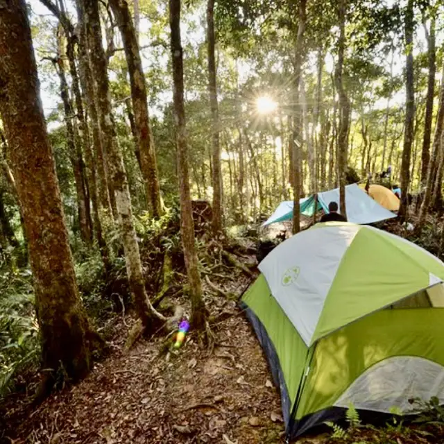 Camping in the Wild Jungle of Phuket 