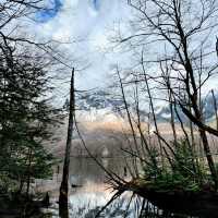 ONE DAY TRIP KAMIKOCHI ✨️