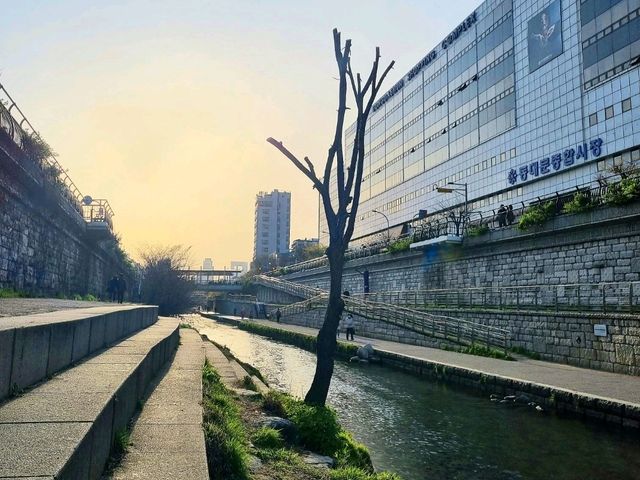 지금 가야할 걷기 좋은 청계천&흥인지문공원🏞