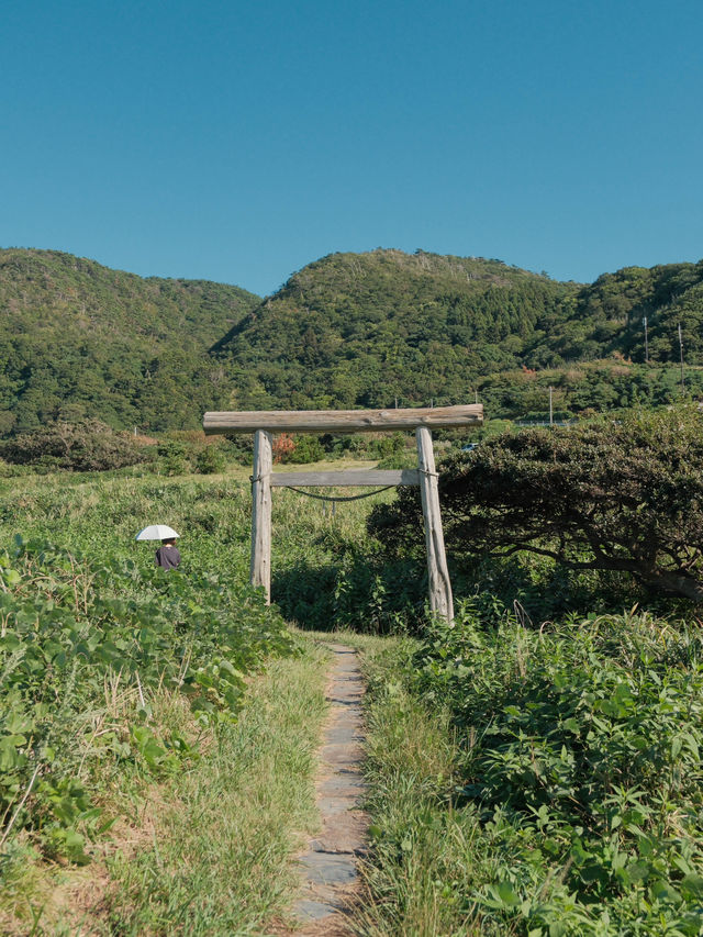 日本新瀉｜探索佐渡島北部的自然風光 ～