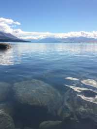 【ニュージーランド🇳🇿】絶対訪れてほしい観光スポット〜テカポ湖〜