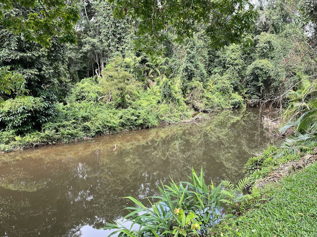 Khao Yai National Park