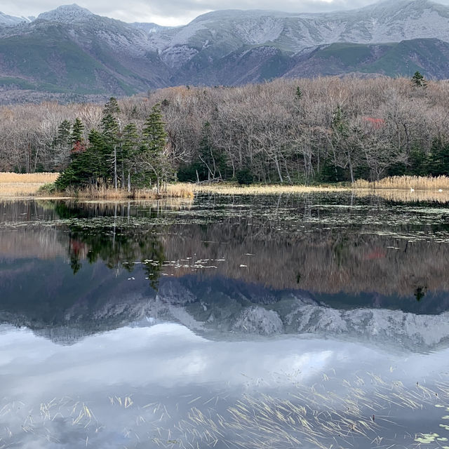 Rewarding sights at Shiretoko Five Lakes morning walk late autumn