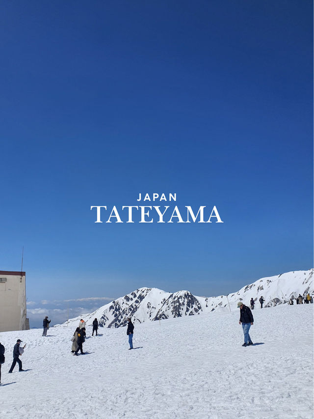 ❄️✨Tateyama 