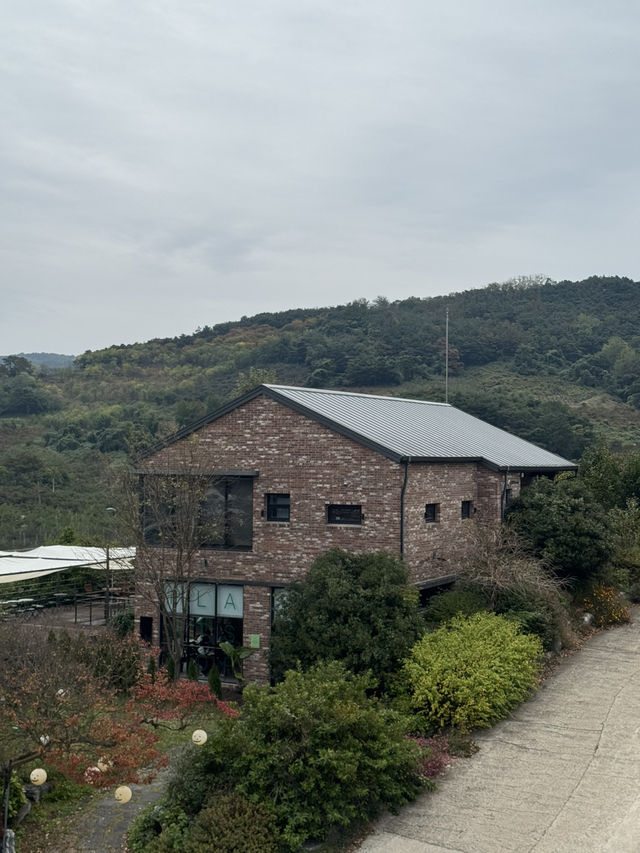 사진 찍기 좋은 포토존 천국 📸💖