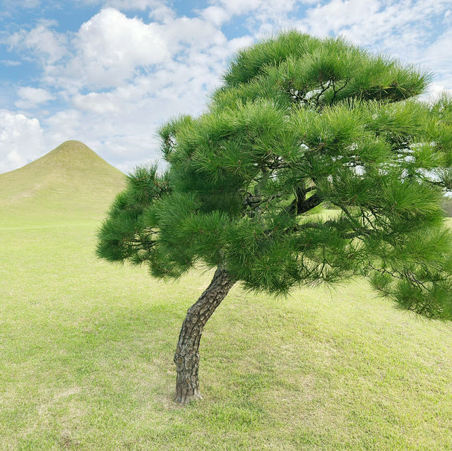 Garden of Wonders: Discovering the Beauty of Suizenji in Kumamoto!