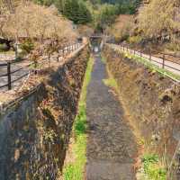 西湖療癒之里根場