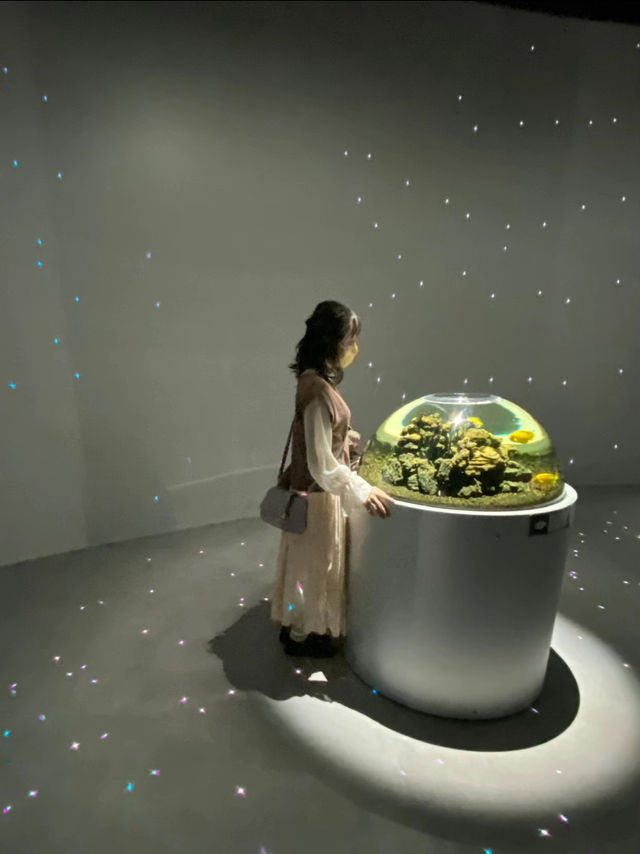 神秘の水族アート🎨！神戸の新感覚アクアリウムで遊んじゃおう〜