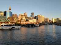 ล่องเรือ ชม Sydney Opera House and Sydney City