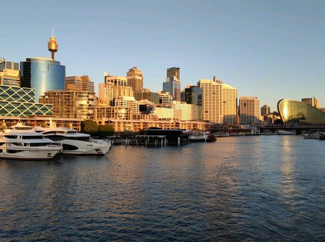 ล่องเรือ ชม Sydney Opera House and Sydney City