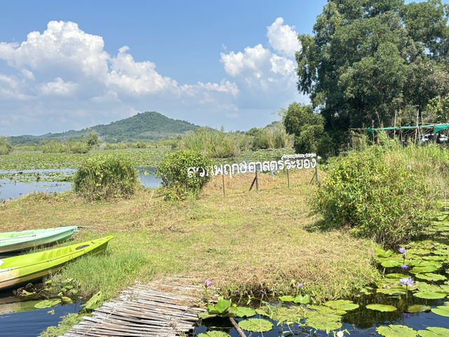 สวนพฤกษศาสตร์ ระยอง🍃🛶