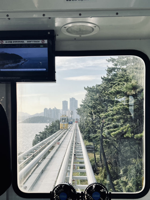 Blue Line Park รถไฟปุ๊กปิ๊กสุดน่ารัก 🚊🇰🇷