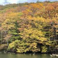 【十和田】必見！感動の紅葉🍁圧倒される絶景✨