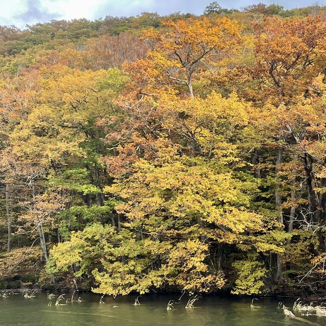 【十和田】必見！感動の紅葉🍁圧倒される絶景✨