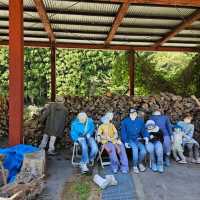 Nagoro: Japan's Enchanting "Scarecrow Village"