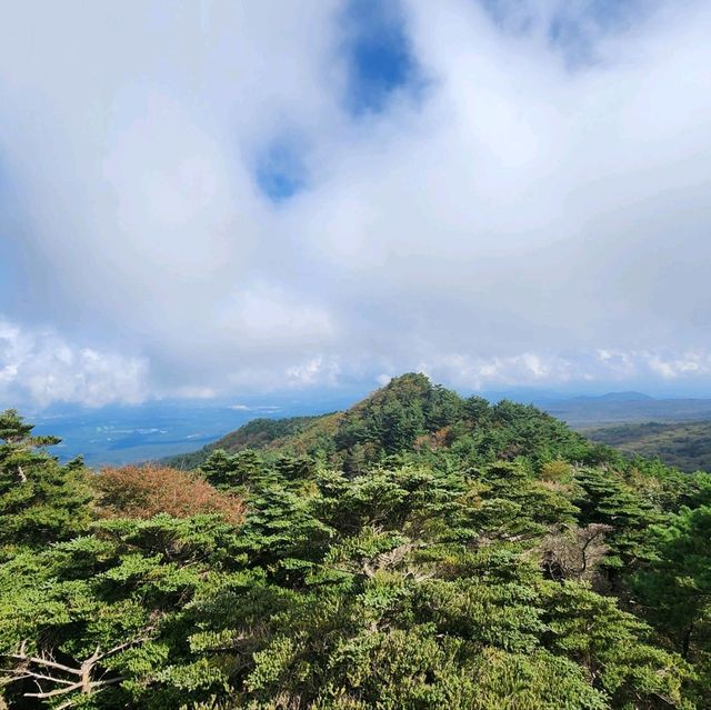 우리나라에서 가장 높은산 한라산을 가보자