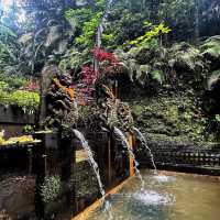 Hidden Gem of Ulu Petanu Waterfall