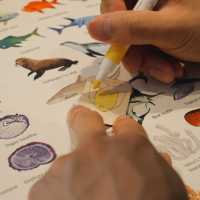 Bluesun artspace