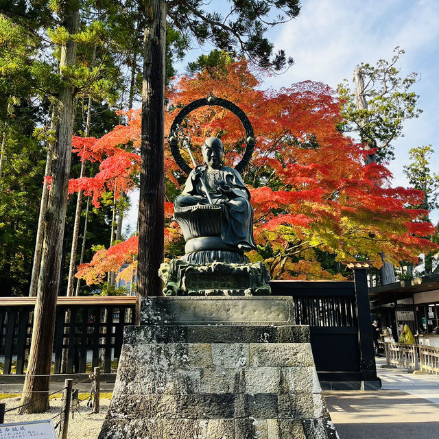 Top 3 views of Japan at Matsushima! 