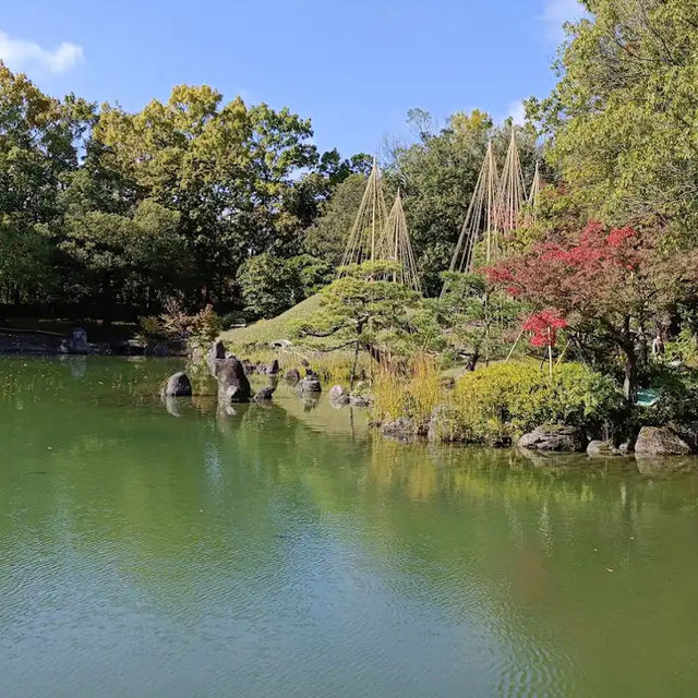 【福井】美しい庭園