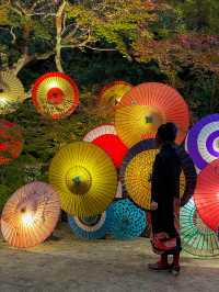 奈良観光🍁岡寺🍁
