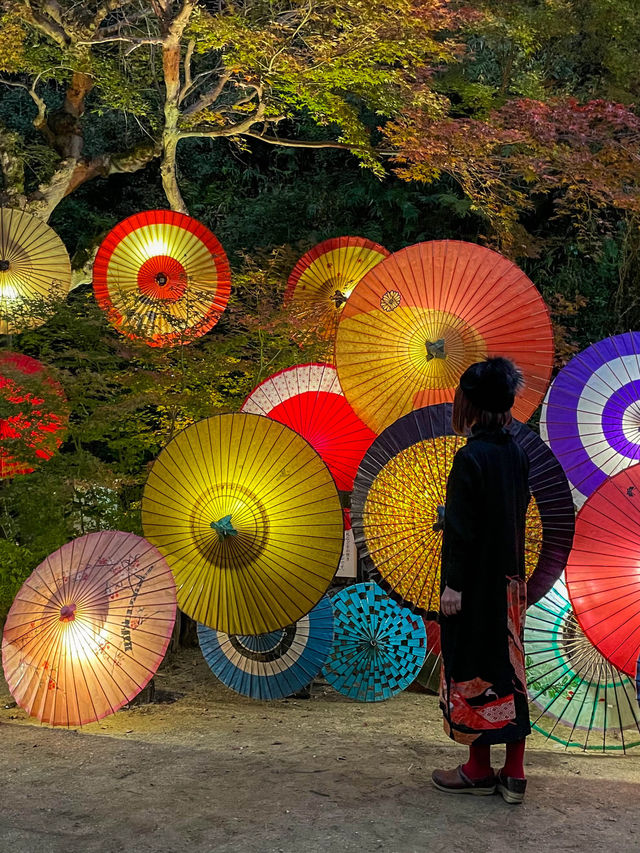 奈良観光🍁岡寺🍁