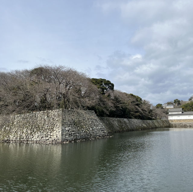 国宝【彦根城🏯】