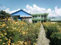Mardi Himal