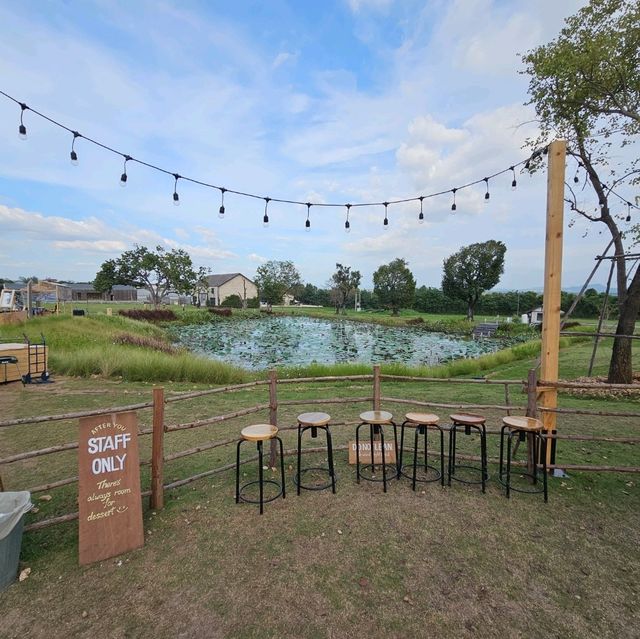 After You Dairy Farm เขาใหญ่
