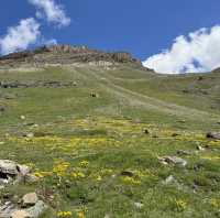 슈텔리제 호수 Stellisee