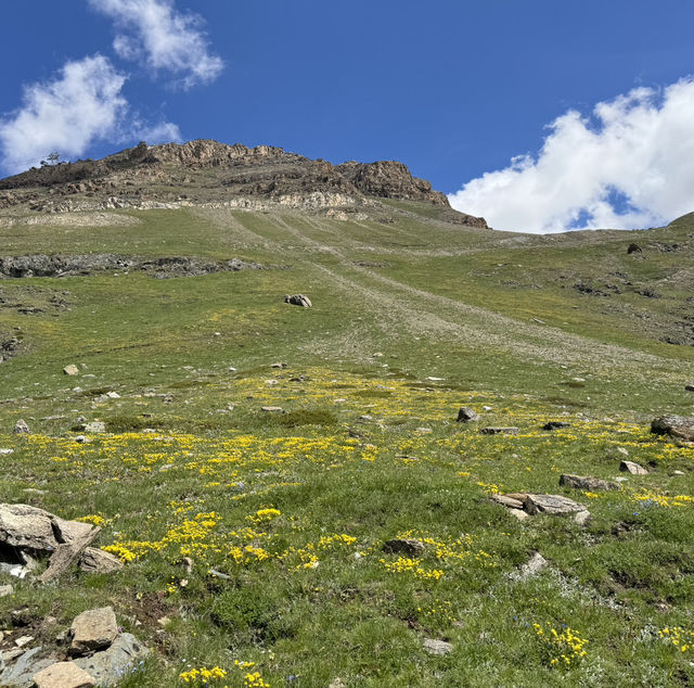 슈텔리제 호수 Stellisee