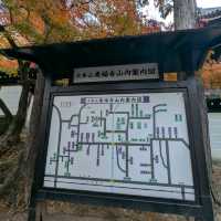 🇯🇵京都「東福寺」市區楓葉🍁頂流，楓葉之王威名當之無愧！