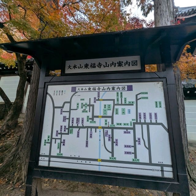 🇯🇵京都「東福寺」市區楓葉🍁頂流，楓葉之王威名當之無愧！
