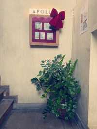 คาเฟ่ดึกเก่า :Apollo Cafe