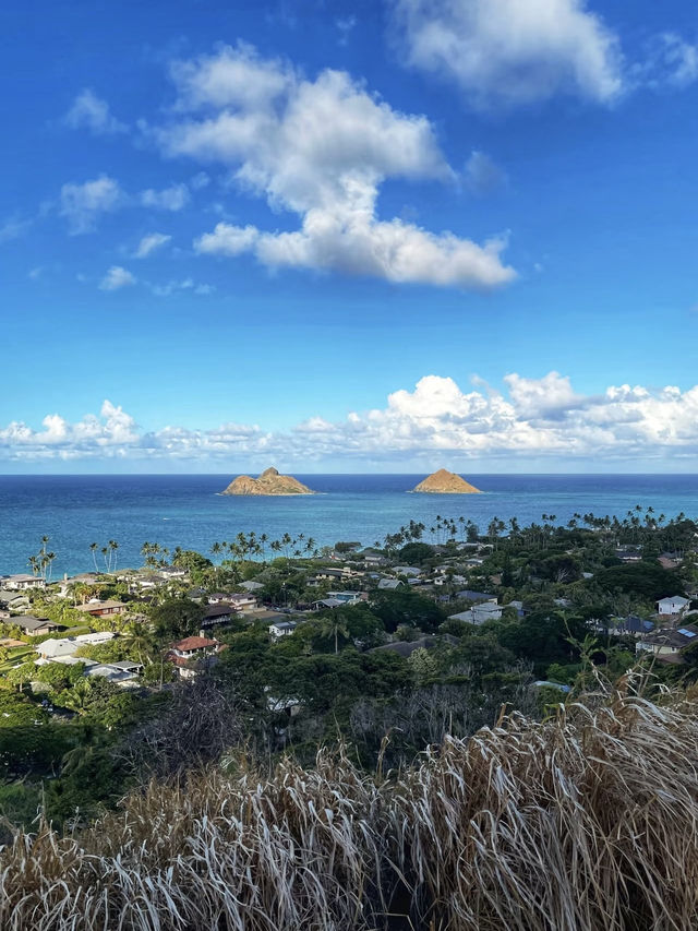 Hiking the Pillbox Trail: A Sunrise Adventure in Hawaii