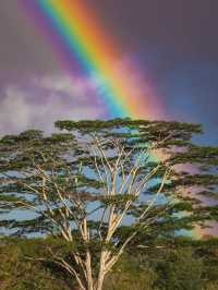 Why Rainbow Lovers Need to Visit Hawaii 🌈