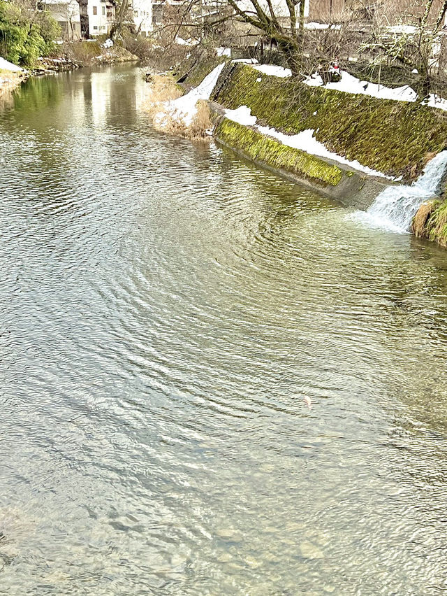 ［日本北陸旅行］飛驒高山老街-必吃飛驒牛🤤