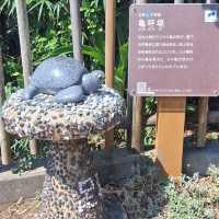 四國南端最美的足摺岬