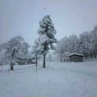 Zao Onsen