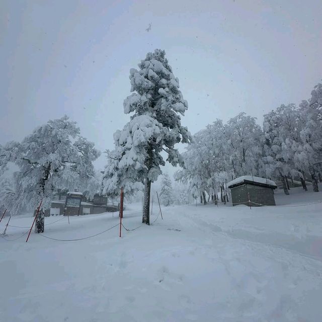 Zao Onsen