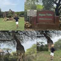 Breathtaking experience with a Giraffe 🦒