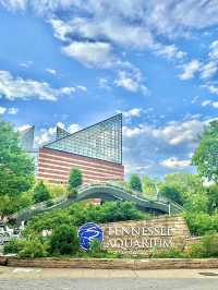 ［田納西旅遊］Tennessee Aquarium-心目中第一名的水族館🐠🦈🪼🐊🦋