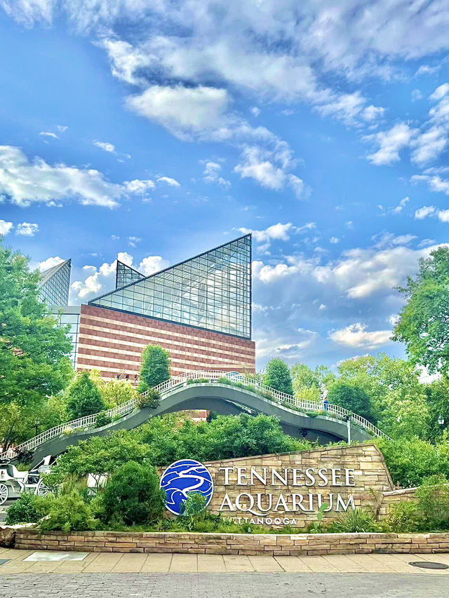 ［田納西旅遊］Tennessee Aquarium-心目中第一名的水族館🐠🦈🪼🐊🦋