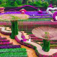   สวนเมเปิ้ล สวนดอกไม้ที่กำลังบานสวยวิวสุดอลังการ