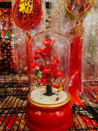 Step into Prosperity with Stunning New Year Finds at SSF