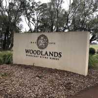 Margaret River Wine Tour: A Journey Through Australia’s Best Vineyards