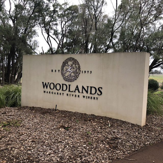 Margaret River Wine Tour: A Journey Through Australia’s Best Vineyards